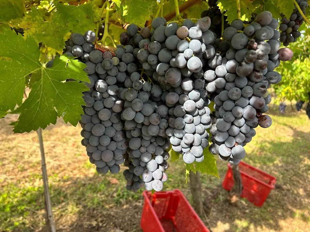 Verona Appartamento Dimora Valpantena 0*,  Itálie